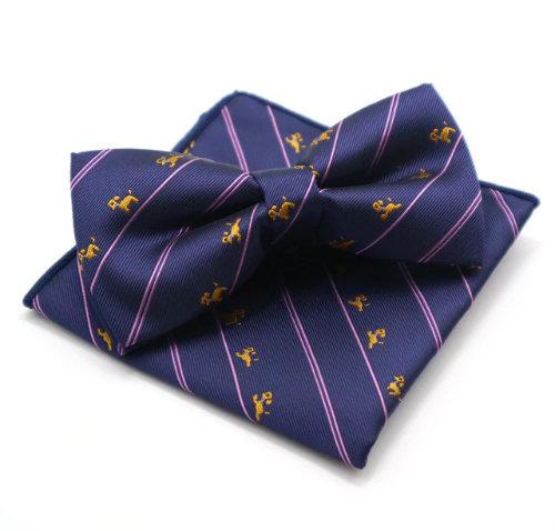 Navy Puppy Dog Bow Tie & Pocket Square Bow Tie + Square JayKirbyTies 